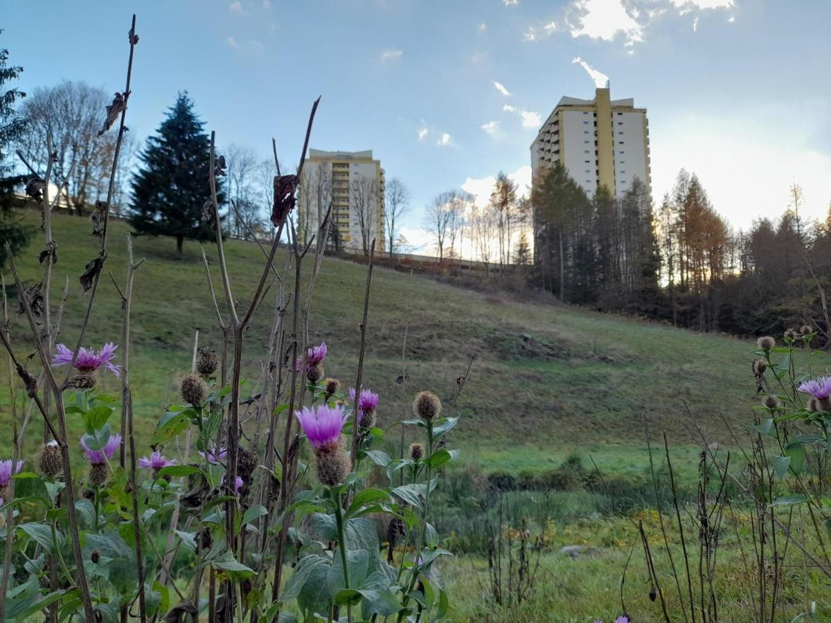 Hotel Silbertanne Hohegeiß エクステリア 写真