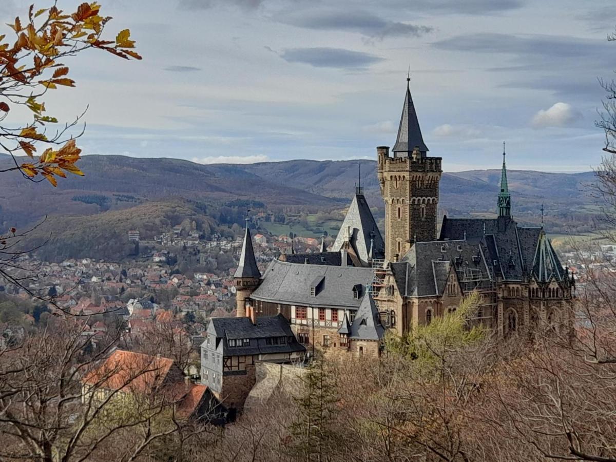 Hotel Silbertanne Hohegeiß エクステリア 写真